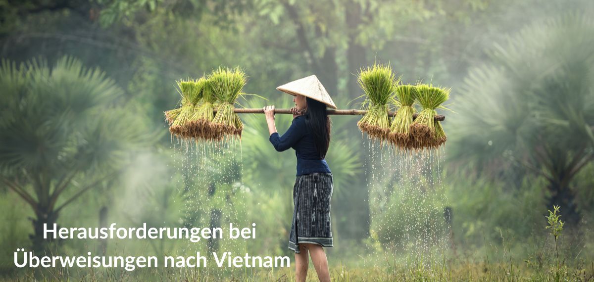 Herausforderungen beim Senden von Geld nach Vietnam